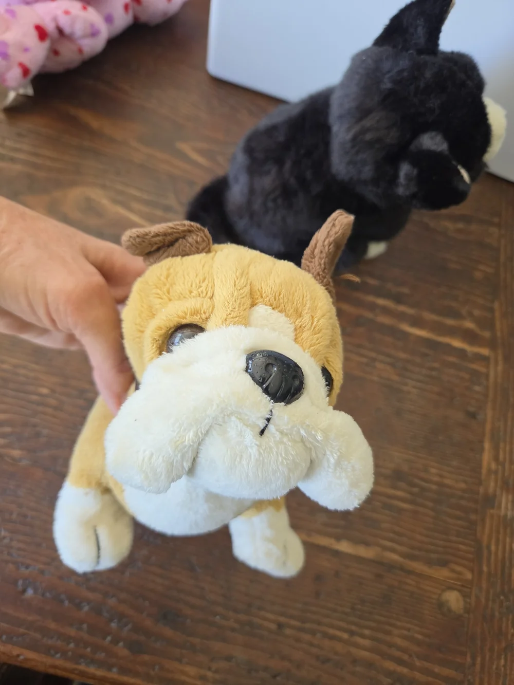 WEBKINZ - Set of 5